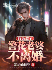 《我街溜子，警花老婆不离婚》全集免费在线阅读（陈潇林溪）