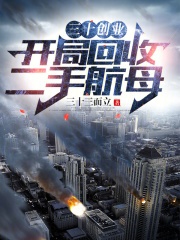 林琛游夏《三十创业：开局回收二手航母》小说章节目录免费阅读