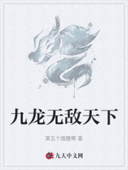 九龙无敌天下免费阅读，九龙无敌天下章节目录-经典文学
