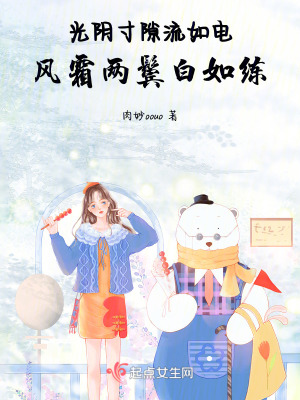 光陰寸隙流如電，風霜兩鬢白如練