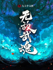 无敌武魂萧昊萧雨小说，无敌武魂全文章节试读