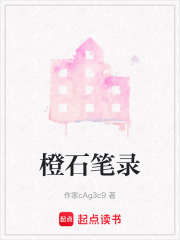 橙石筆錄