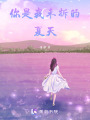 你是我未拆的夏天