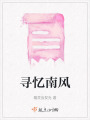 尋憶南風(fēng)