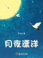 月夜漂洋