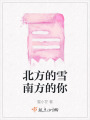 北方的雪南方的你