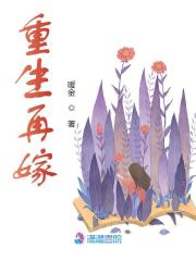 小说《重生再嫁》在线全文阅读