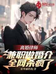 完整版《离婚律师兼职做婚介，全网杀疯了》全章节阅读