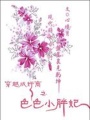 穿越成奸商之絕色小胖妃