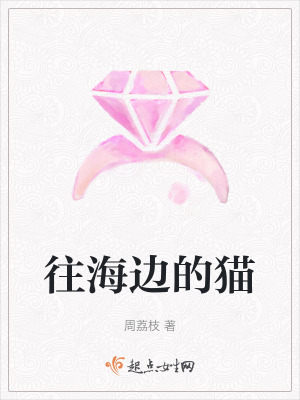 往海邊的貓