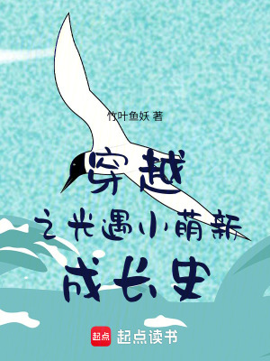 光遇物語