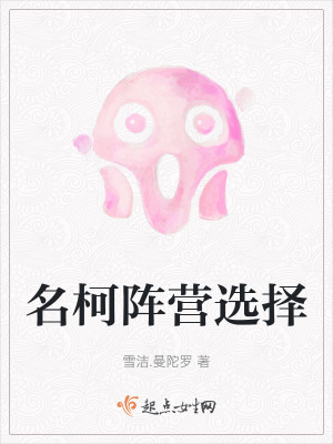 名柯陣營選擇