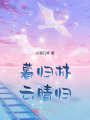 暮歸林云晴歸