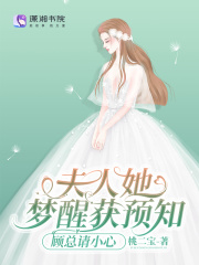 陆婉凝顾淮墨小说叫什么（夫人她梦醒获预知，顾总请小心免费阅读）