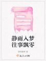 靜雨入夢(mèng)往事飄零