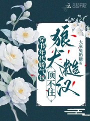 穿书年代娇气包，狼犬糙汉顶不住（祝鸢沈肆之）小说，穿书年代娇气包，狼犬糙汉顶不住免费阅读