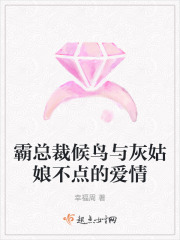 霸總裁候鳥與灰姑娘不點的愛情