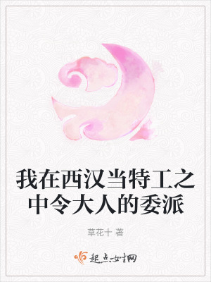 我在西漢當特工之中令大人的委派