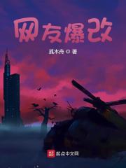 《网友爆改》全集免费在线阅读（张洋贝薇）