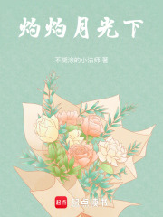 灼灼月光下