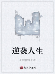 琴琴李宗强小说（九龙至尊）完整版在线免费阅读