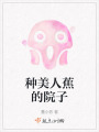 種美人蕉的院子