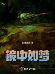 鏡中如夢