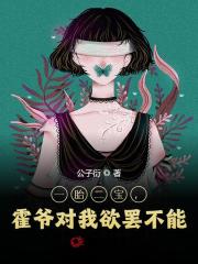 一胎二宝，霍爷对我欲罢不能苏辞霍夜霆小说阅读，一胎二宝，霍爷对我欲罢不能完整版