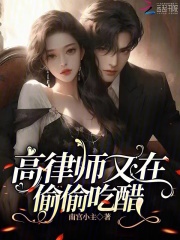 小说《高律师又在偷偷吃醋》全文阅读