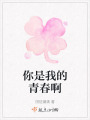 你是我的青春啊