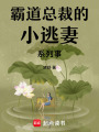 霸道總裁的小逃妻系列事
