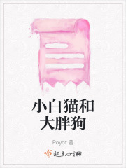 小白貓和大胖狗