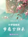 葉羅麗精靈夢愿兮歸來