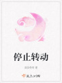 停止轉(zhuǎn)動