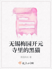 無錫梅園開元寺里的黑貓