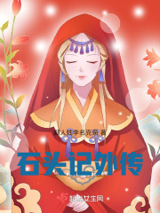 石頭記外傳