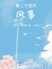 第二十四只風(fēng)箏