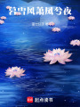 暮雪風蕭鳳兮夜