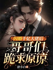 《闪婚千亿大佬后，哥哥们跪求原谅》小说章节列表免费试读，舒夏乔沐霆小说在线阅读-胖达文学