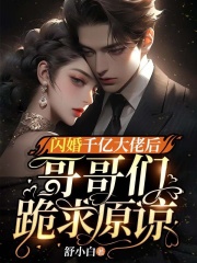 《闪婚千亿大佬后，哥哥们跪求原谅》全集免费在线阅读（舒夏乔沐霆）