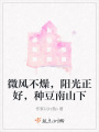 微風不燥，陽光正好，種豆南山下