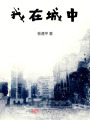 我在城中