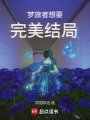 夢旅者想要完美結局