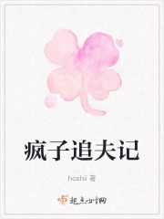 瘋子追夫記
