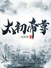 太初帝尊（林尘林雪）小说，太初帝尊免费阅读-胖达文学