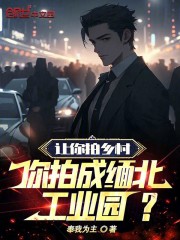 让你拍乡村，你拍成缅北工业园？小说免费资源，让你拍乡村，你拍成缅北工业园？在线阅读-胖达文学