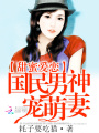 甜蜜愛戀：國民男神寵萌妻