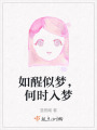 如醒似夢(mèng)，何時(shí)入夢(mèng)