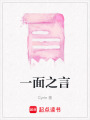 一面之言