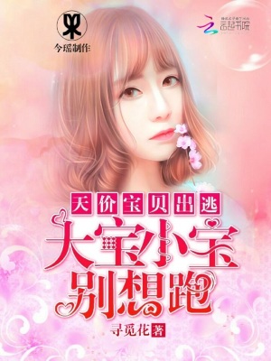 天價寶貝出逃：大寶小寶別想跑